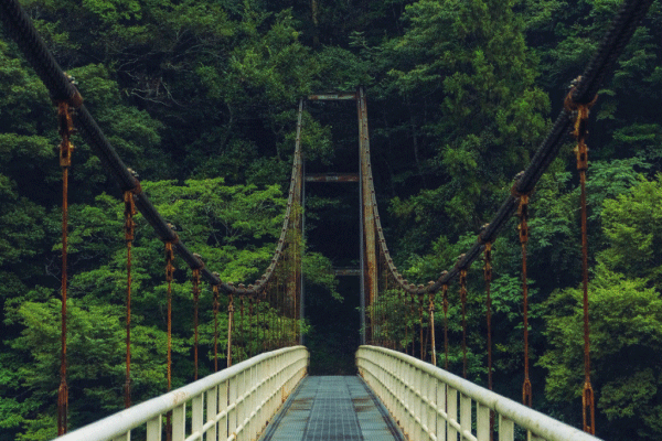 大氣負氧離子監測儀的工作原理 大氣負氧離子監測儀的工作原理