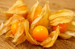 農業自動氣象站助力菇娘規?；N植