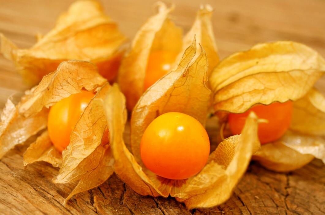 農業自動氣象站助力菇娘規模化種植 農業自動氣象站助力菇娘規模化種植